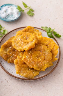 Tostones, traditional Carribean dish, twice fried green plantains