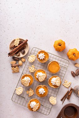 Mini pumpkin pies with wipped cream and spices baked in a muffin tin top view with copy space