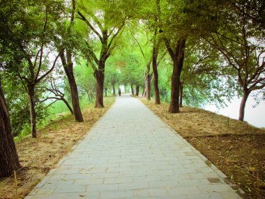 Çin park peyzaj