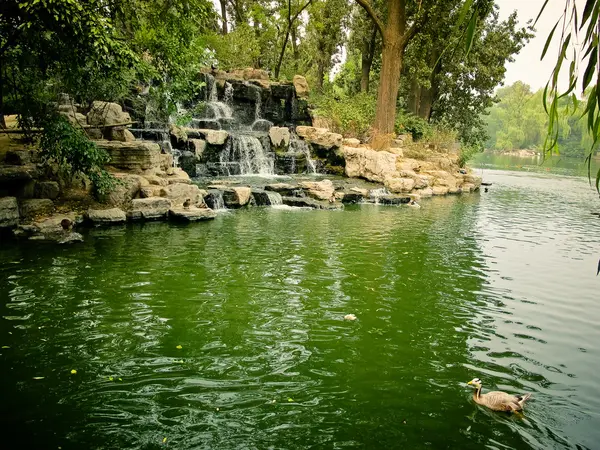 En el parque — Foto de Stock