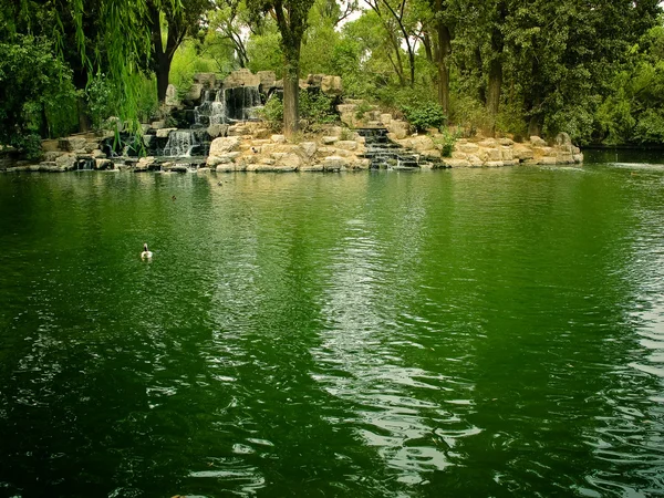 In het park — Stockfoto