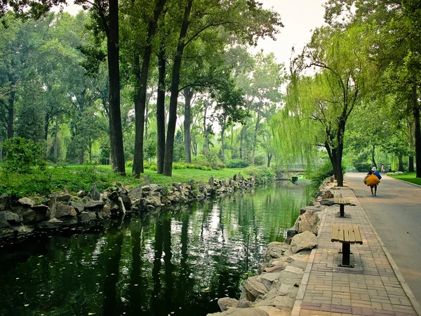 Çin park peyzaj — Stok fotoğraf