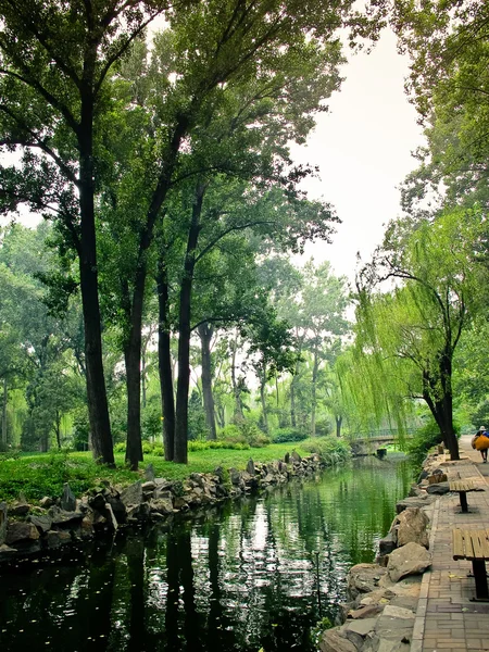Landscape of chinese park — Stock Photo, Image