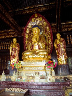 Dev Vahşi kaz Pagodası - Budist pagoda Xian, Çin.