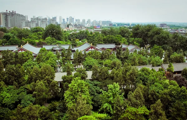 Parque cerca de gigante salvaje ganso pagoda xian, China . — Foto de Stock