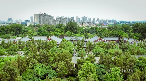 Parque cerca de gigante salvaje ganso pagoda xian, China . — Foto de Stock