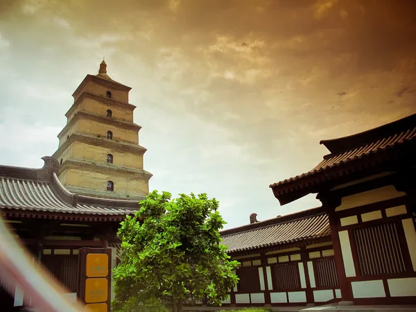 Jätte wild goose pagoda - buddhistiska pagoden i Shanghai, Kina. — Stockfoto