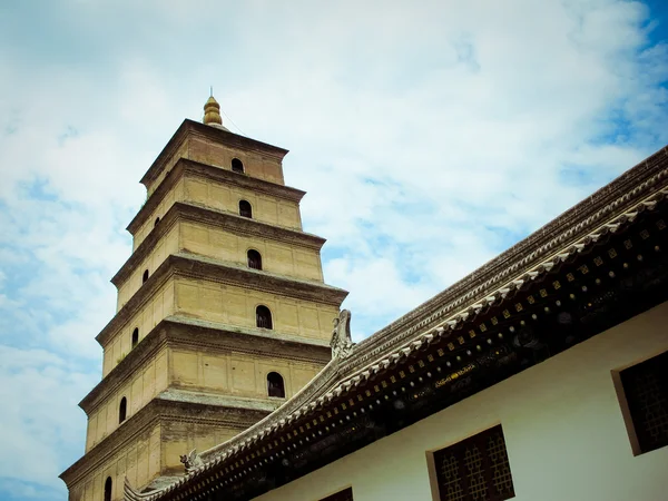 Óriás vadliba pagoda - xian, Kína buddhista pagoda. — Stock Fotó