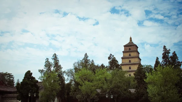Óriás vadliba pagoda - xian, Kína buddhista pagoda. — Stock Fotó