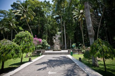 Bali 'deki Maymun Ormanı.)