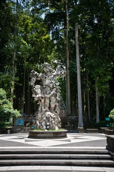 Bali 'deki Maymun Ormanı.) — Stok fotoğraf