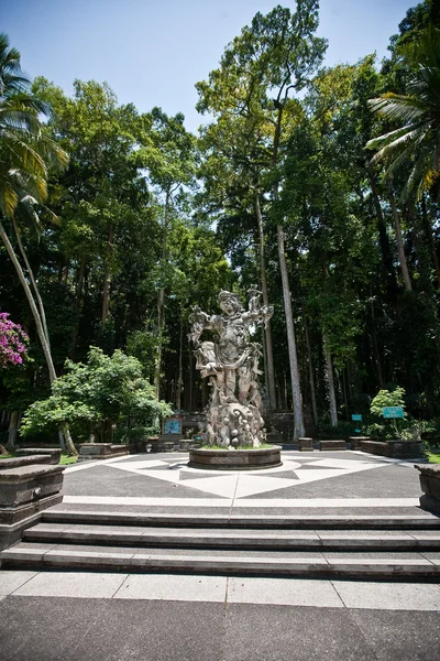 Las małp na Bali (Sangeh) — Zdjęcie stockowe