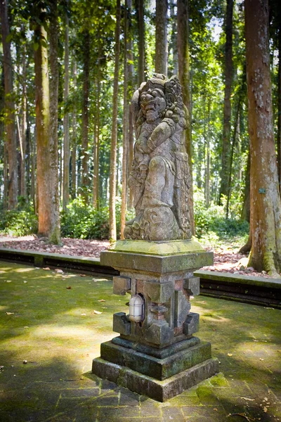 Forêt de singes en Bali (Sangeh ) — Photo