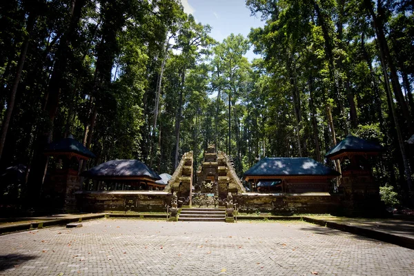 Monkey forest in Bali (Sangeh) — Stock Photo, Image