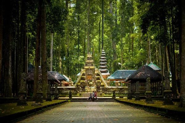 Foresta delle scimmie a Bali (Sangeh) ) — Foto Stock