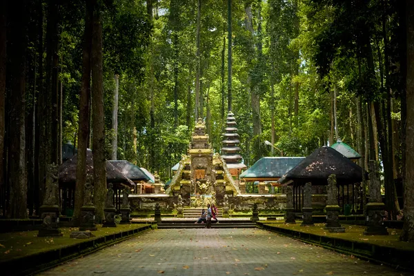 Bali 'deki Maymun Ormanı.)