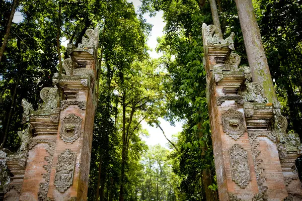 Forêt de singes en Bali (Sangeh ) — Photo