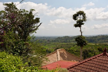 pirinç Teras Dağları.