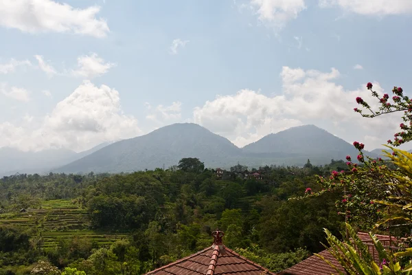 Rice terrace in mountains. — Stock Photo, Image