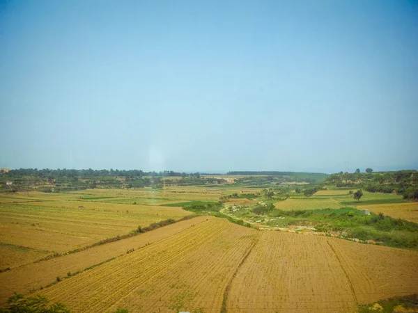 Sommarlandskap — Stockfoto