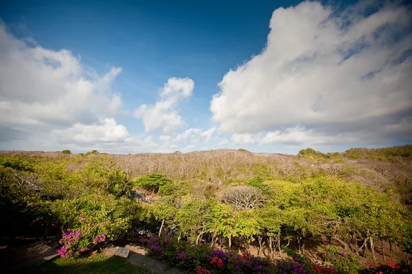 Balinese landscape — Stock Photo, Image