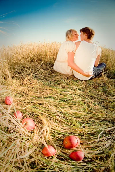 밀밭에 젊은 남녀의 이미지 — 스톡 사진