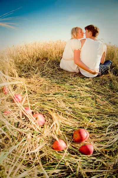 밀밭에 젊은 남녀의 이미지 — 스톡 사진