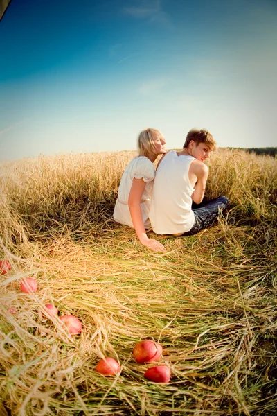 Imagen del joven y la joven en el campo de trigo —  Fotos de Stock