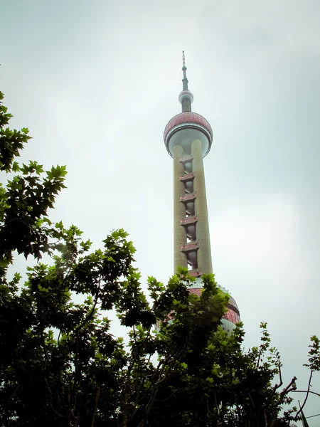 Famosa torre shanghai —  Fotos de Stock