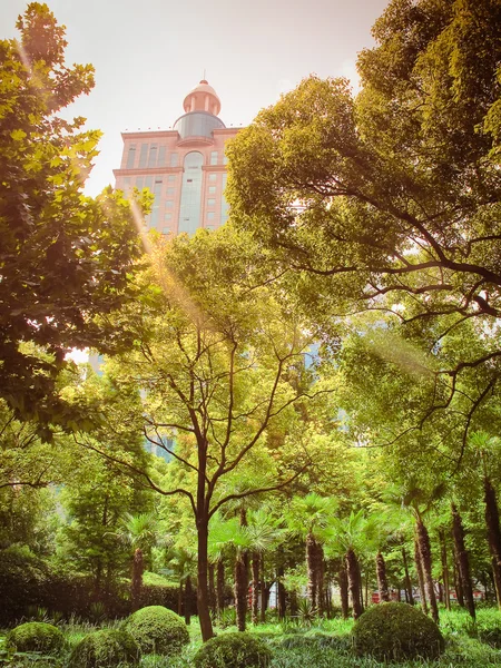 日没の超高層ビル — ストック写真