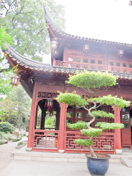 Pabellón tradicional chino de madera con pino —  Fotos de Stock