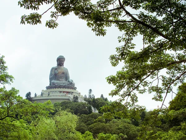 在大埔的佛雕像宝莲寺 — 图库照片