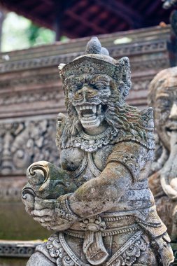 Bali 'deki Maymun Ormanı.)