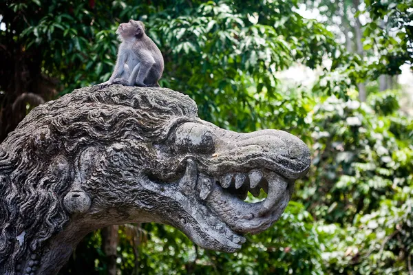 Floresta de macacos em Bali (Sangeh ) — Fotografia de Stock