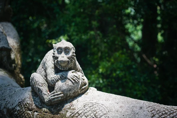 Bosque de monos en Bali (Sangeh ) — Foto de Stock