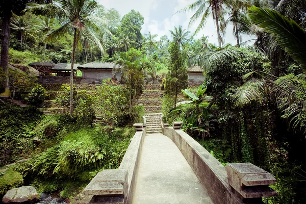 Gunung kawi tempel i bali — Stockfoto