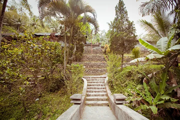 Gunung kawi Tapınağı Bali — Stok fotoğraf