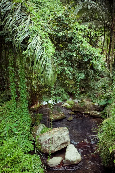 Mountain river — Stock Photo, Image