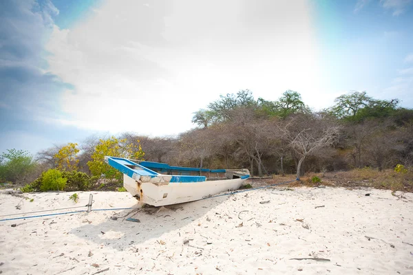 Strand van bali, Indonesië — Stockfoto