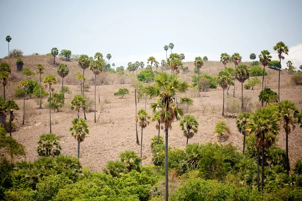 Parque Nacional — Fotografia de Stock