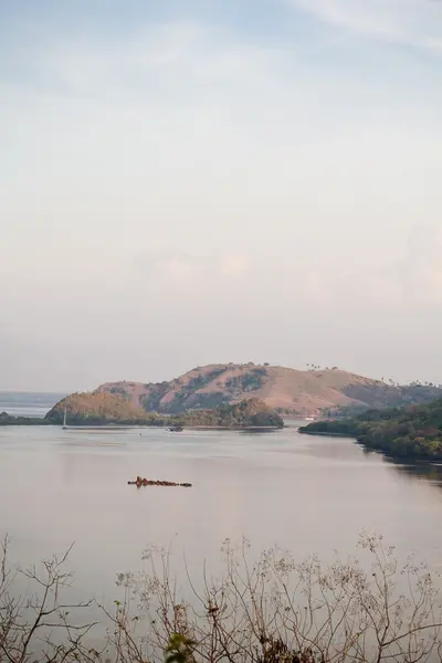 Güzel bay — Stok fotoğraf