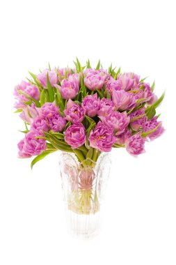 güzel pembe laleler