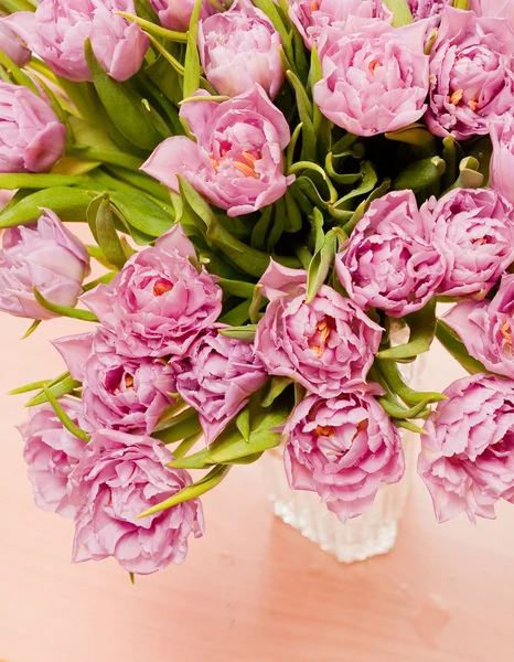 Beautiful pink tulips — Stock Photo, Image