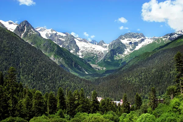 Montanhas do Cáucaso. Região Dombay Imagem De Stock