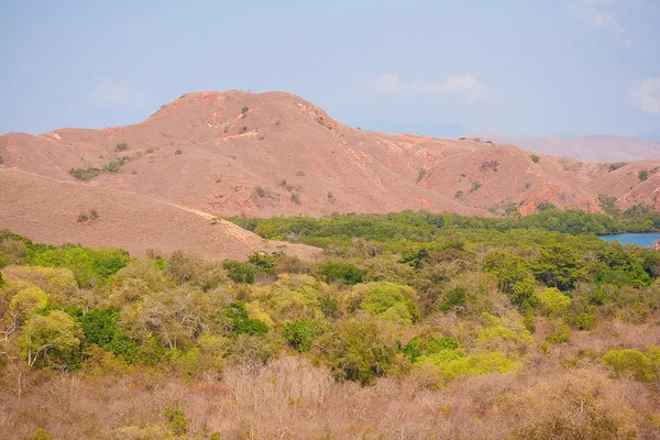 Panorama de la isla de Rinca —  Fotos de Stock