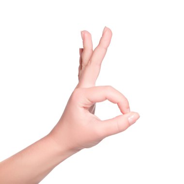 insan eli jesti. beyaz izole. Tamam