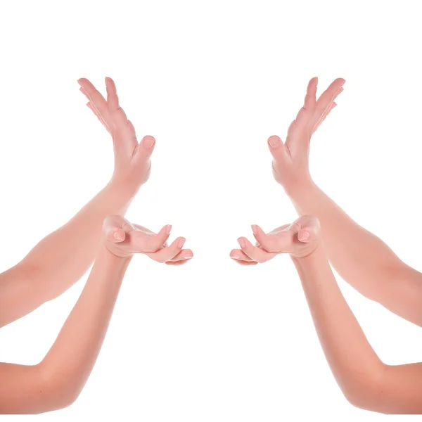 Mänskliga gest. fyra händer som håller något. isolerad på vit — Stockfoto