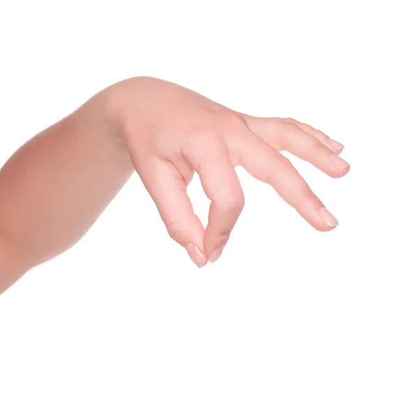 Gest ludzkich rąk. na białym tle. gospodarstwa — Zdjęcie stockowe