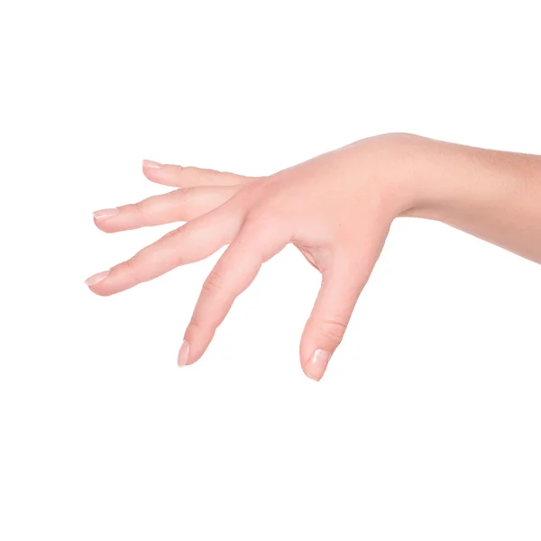 Geste menschlicher Hände. isoliert auf weiß. Halten — Stockfoto