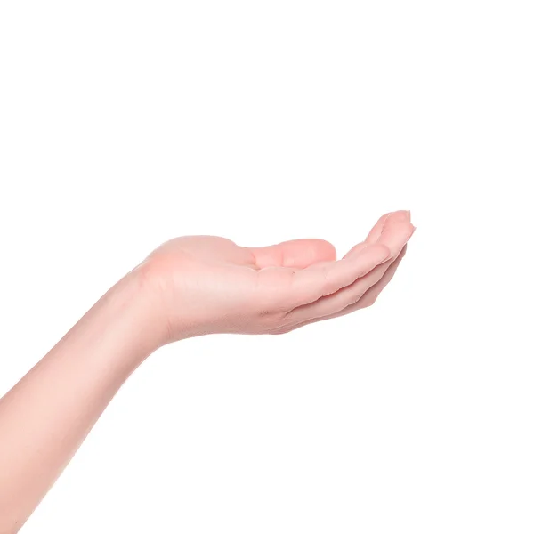 Mänskliga händer gest. isolerade på vitt. anläggning — Stockfoto